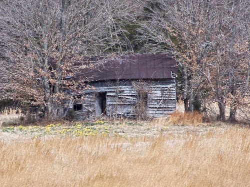 Homestead by Obiora Embry